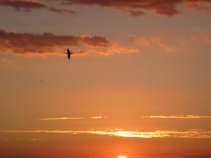 Noch ein Sonnenuntergang 