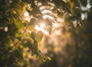 Naturbild Handekzem Heilung Sonnenlicht Blätter
