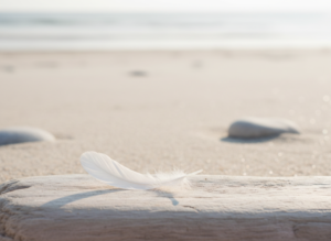 Schmerzlinderung Erfahrungsbericht energetische Behandlung Symbolbild weiße Feder Leichtigkeit