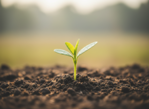 Fernheilung Erfahrungsbericht Fuß geistige Aufrichtung Symbolbild grüner Spross Erde Licht
